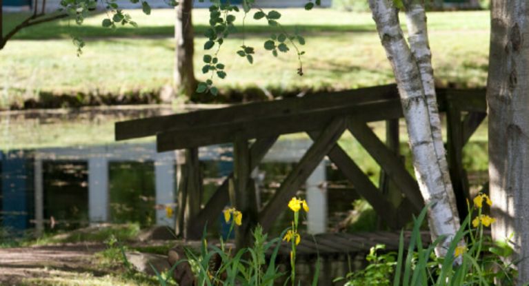 Holzbrücke über einen kleinen Bach im Park